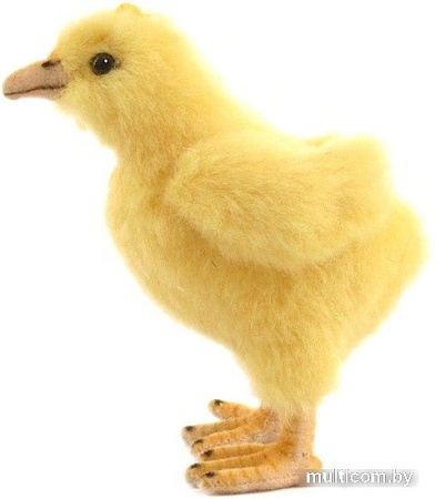 Классическая игрушка Hansa Сreation Цыпленок 5378 (12 см)