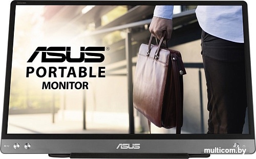 Монитор ASUS ZenScreen MB14AC