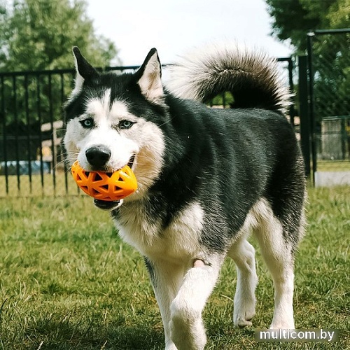 Игрушка для собак EBI Bite Me 303/475379