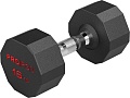 Гантель Proiron Г1160ОБР (16 кг)