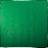 Коврик-подложка Repti-Zoo 02EC 57,5х43 см