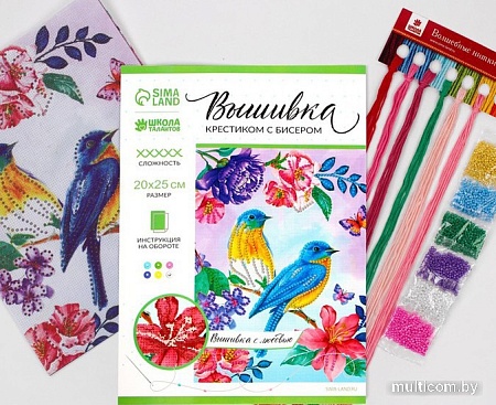 Набор для вышивания Школа талантов Птицы 4457140