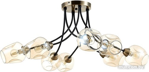 Люстра средней высоты Evoluce Besano SLE205302-08