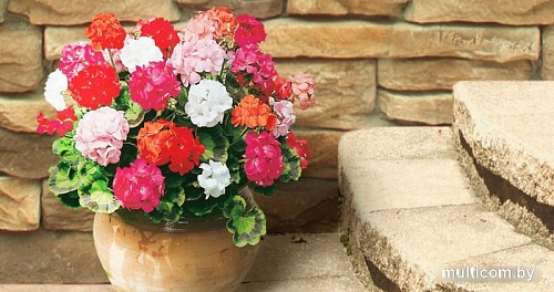 Фотообои ФабрикаФресок Фреска античная солнечная 672270 (200x270)