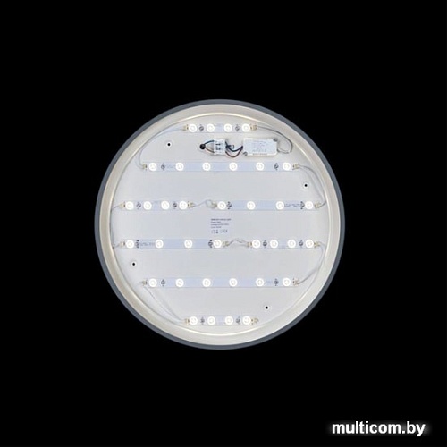 Люстра-тарелка LOFT IT Axel 10001/36 Grey