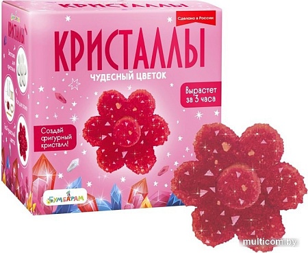 Набор для опытов Bumbaram Кристаллы. Чудесный цветок красный A127