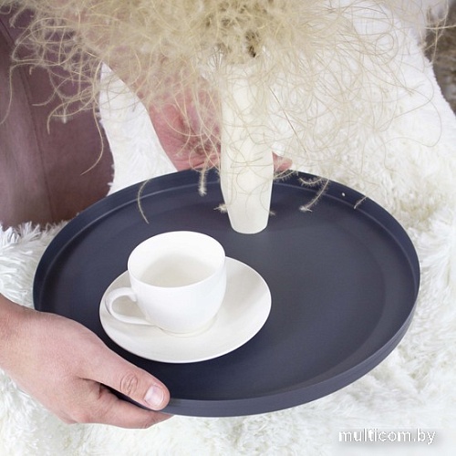 Журнальный столик Sheffilton SHT-CT10-1 (графит)