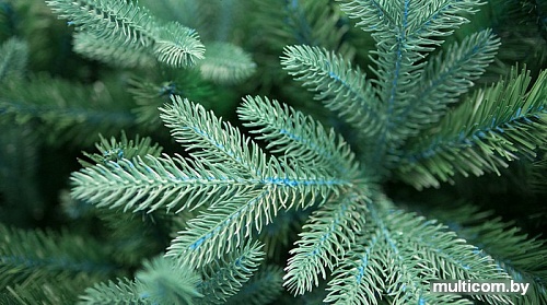 Ель Green Trees Валерио премиум 1.2 м