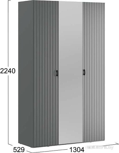 Шкаф-купе Трия Тиффани (серый графит/графит матовый)