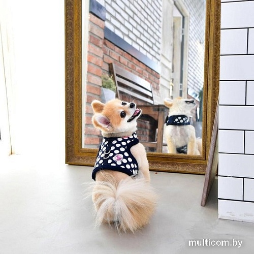 Шлейка-жилетка Pinkaholic Joceline NARD-HJ7363-NY-L (синий)