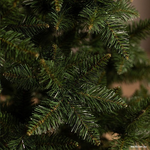 Ель Ёлушка Невская ЕНЕВ 15 (1.5м)