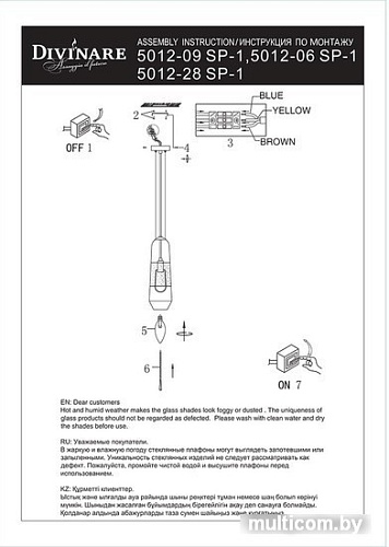 Подвесная люстра Divinare Lich 5012/06 SP-1