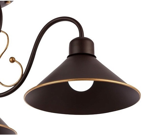 Evoluce Ciolla SLE120402-03