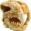 Декорация DekSi Череп динозавра №1002