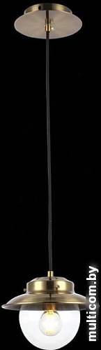 Подвесная люстра Evoluce Garonni SLE110103-01