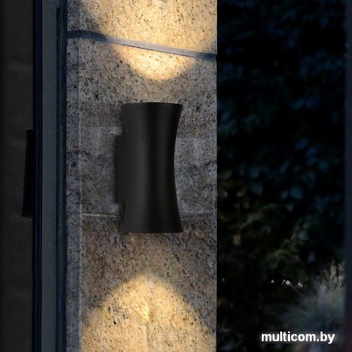 Уличный фонарь Elektrostandard 1501 Techno Led Dual