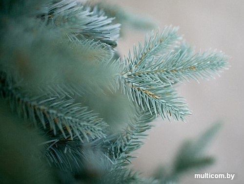 Ель Green Trees Россо премиум 2.1 м