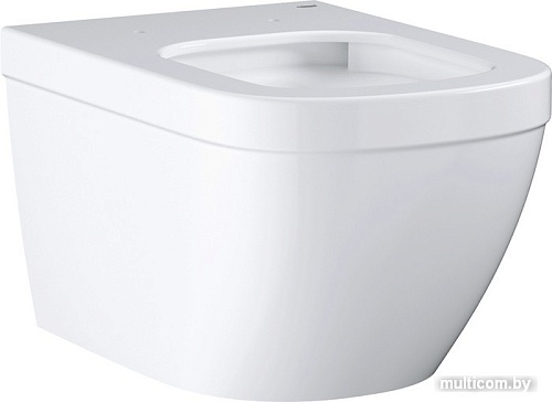 Унитаз Grohe Euro Ceramic 3932800H + 39330001