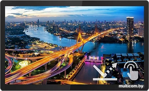 Монитор Philips 222B1TFL/00