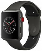 Часы Apple Watch Edition Series 3 38mm with Sport Band