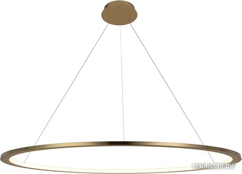 Подвесная люстра LOFT IT Ring 10014XXL