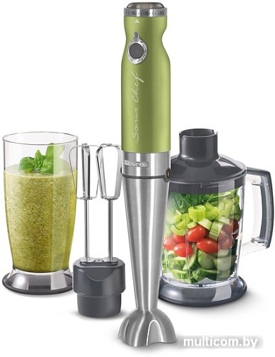 Погружной блендер Sencor SHB 5600GG