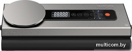 Вакуумный упаковщик Garlyn V-600