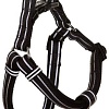 Шлея Doog Lassie HARBFL-L (черный)