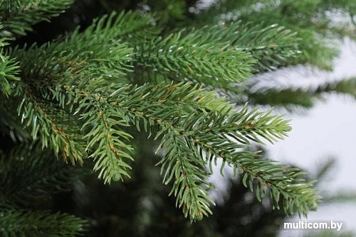 Ель Царь Елка Офелия 1.8 м