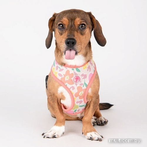 Шлейка-жилетка Pinkaholic Evanthe NAWA-HA7719-IP-L (розовый)