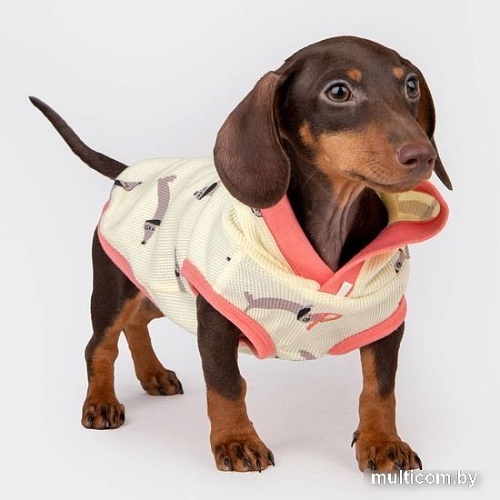 Футболка Puppia Sammy с капюшоном PAWA-TS1949-YE-S (желтый)