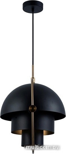 Подвесная люстра LOFT IT Multi-Lite LOFT9915-BL
