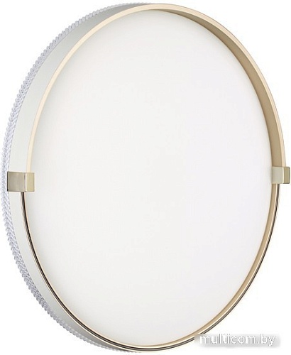 Припотолочная люстра Sonex Pale 7646/EL