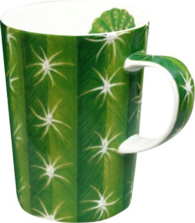 Кружка Taitu Cactus 5-5-4