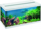 Аквариумный набор Eheim Aquastar Led 54 л (белый)