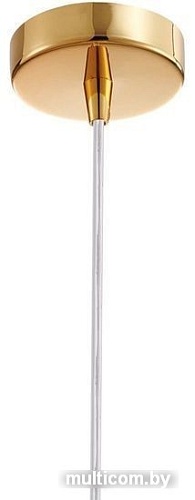 Подвесная люстра Favourite Funnel 2881-1P