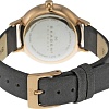 Наручные часы Skagen SKW2267