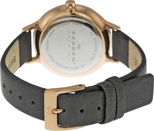 Наручные часы Skagen SKW2267