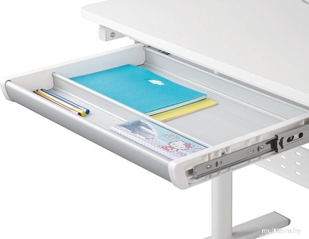 Парта Растущая мебель E602