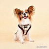 Шлейка-жилетка Puppia Dean Harness A PASD-HA1657-BE-XL (бежевый)