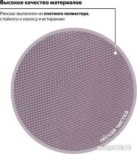 Городской рюкзак BRAUBERG SpeedWay 2 224448