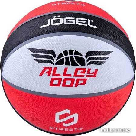 Баскетбольный мяч Jogel Streets Alley Oop (7 размер)