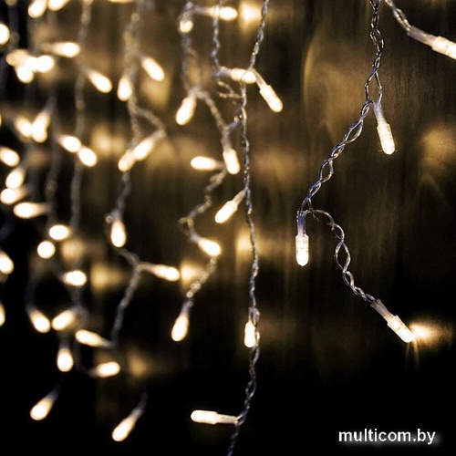 Гирлянда бахрома SHLights OIC080WW-C-E-31V