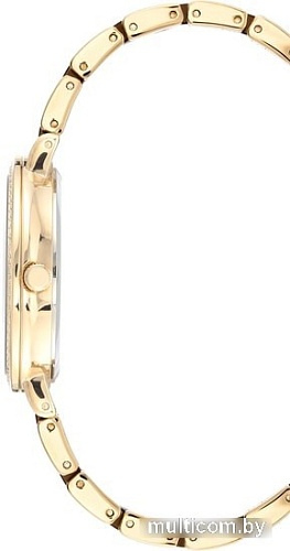 Наручные часы Anne Klein 3810BNGB