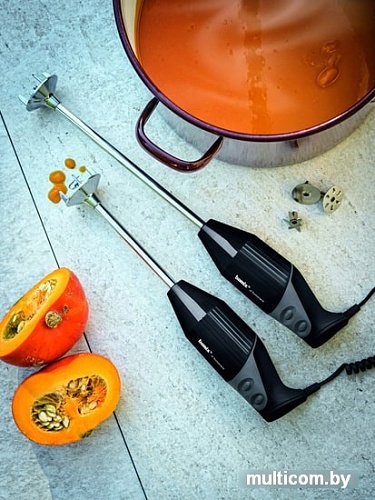 Погружной блендер Bamix Gastro Pro-3 G350 (черный)