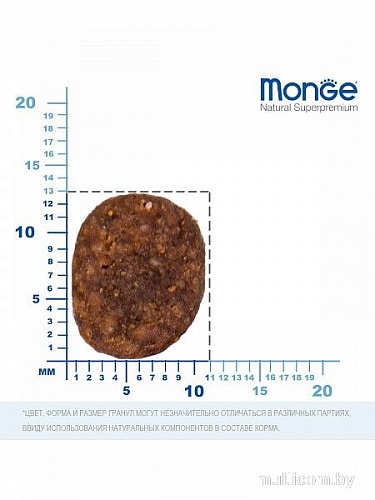 Сухой корм для собак Monge BWild Dog Adult Wild Boar (12 кг)