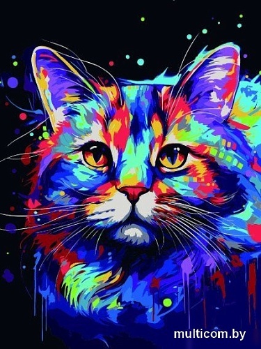 Картина по номерам Феникс+ Радужный кот 67943