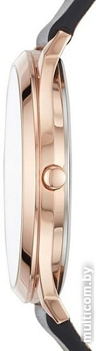 Наручные часы Skagen SKW1102