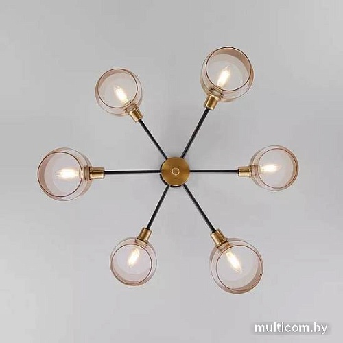 Люстра средней высоты Евросвет 70127/6 (черный/дымчатый)