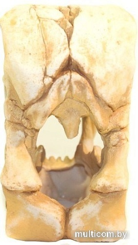 Декорация DekSi Череп динозавра №1002